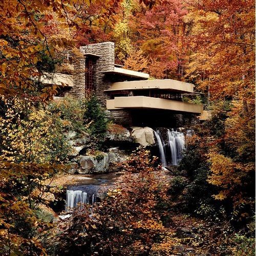 Fallingwater Evi: Doğayla Bütünleşen Mimari Harika